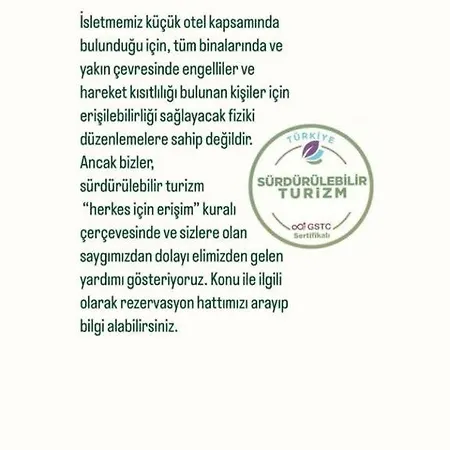 Alya 2* Ayvalı