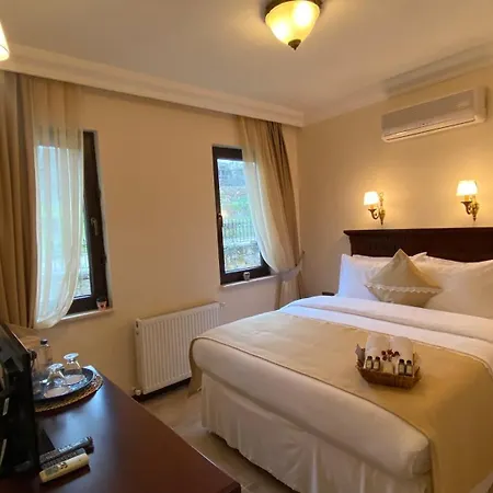 Alya 2* Ayvalı