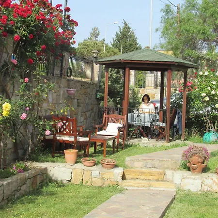 Alya 2* Ayvalı
