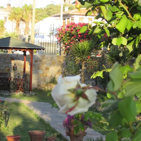 Suinn Cunda Affittacamere Ayvalı