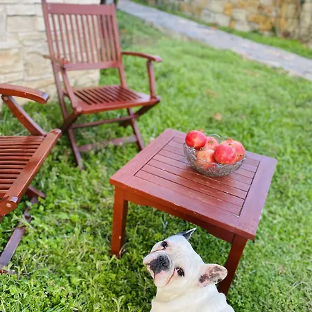 Suinn Cunda Affittacamere 2*