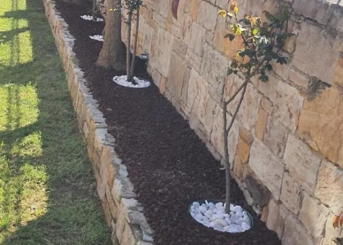 Suinn Cunda 2* Ayvalı