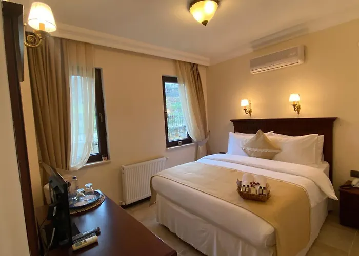 Suinn Cunda 2* Ayvalı