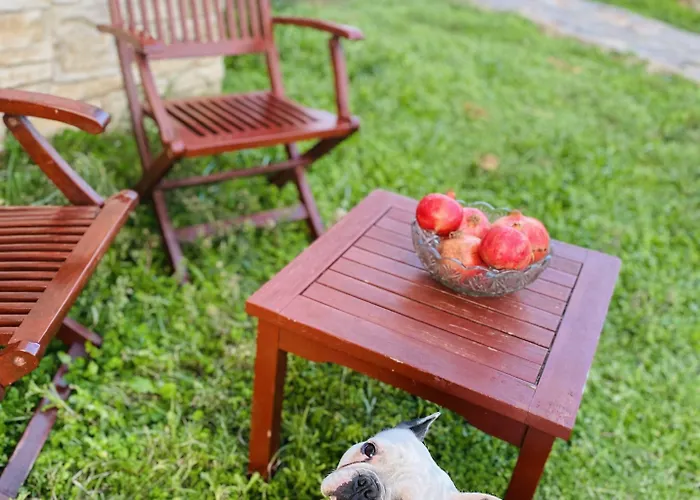 Suinn Cunda Gæstehus 2*