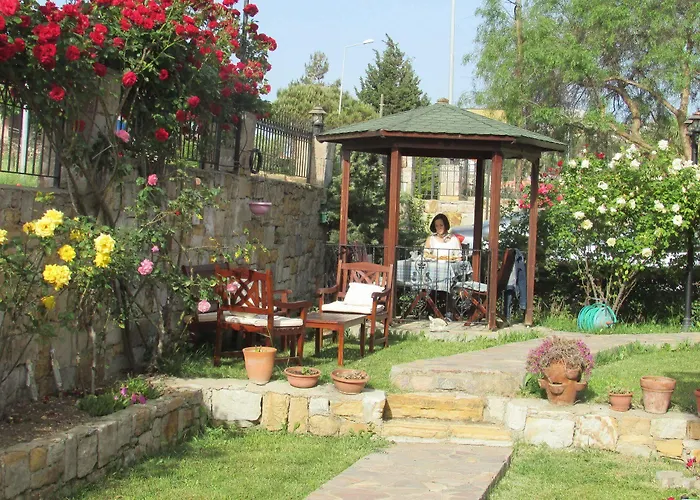 Suinn Cunda 2* Ayvalı